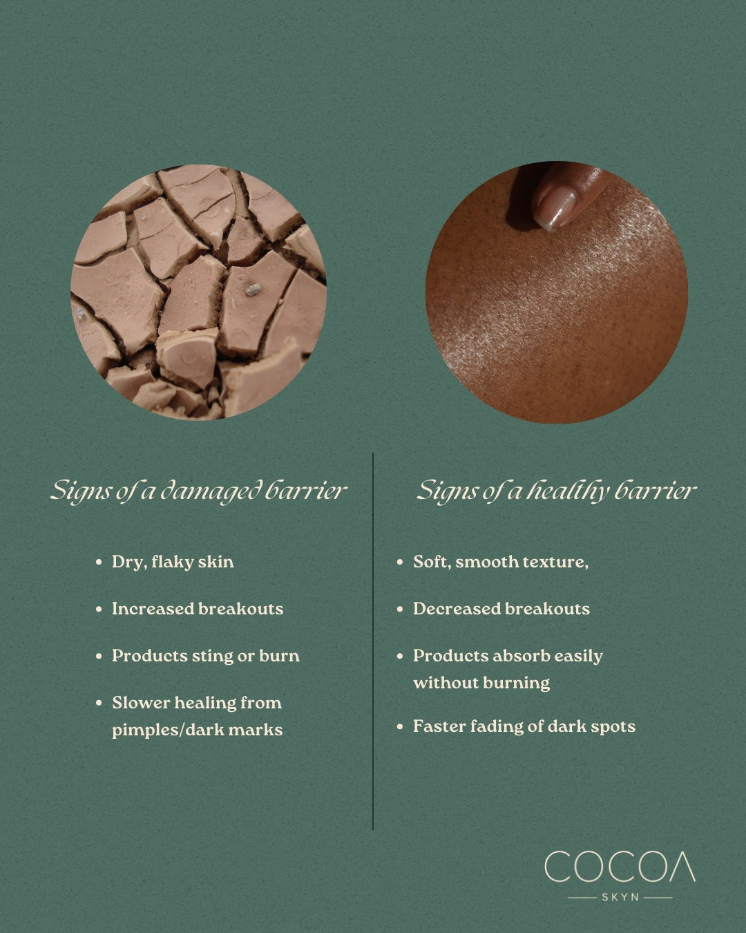 Barrier Repair Basics: How to Heal and Protect Your Skin